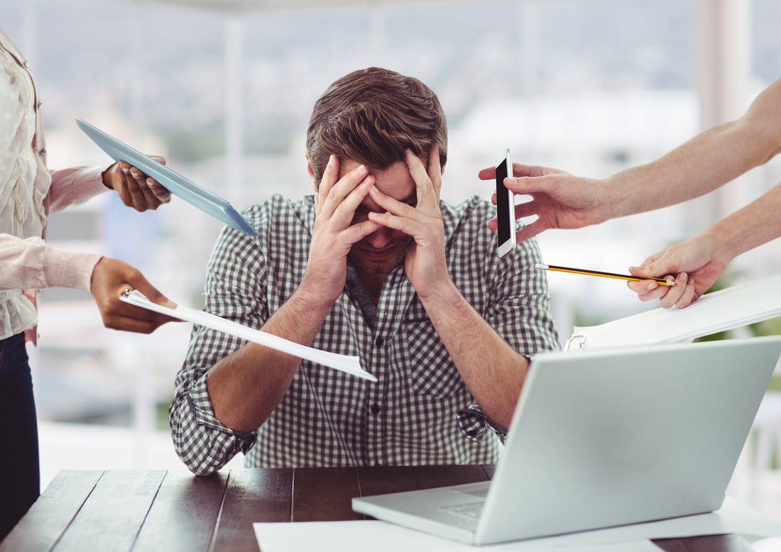 The Effects of Stress